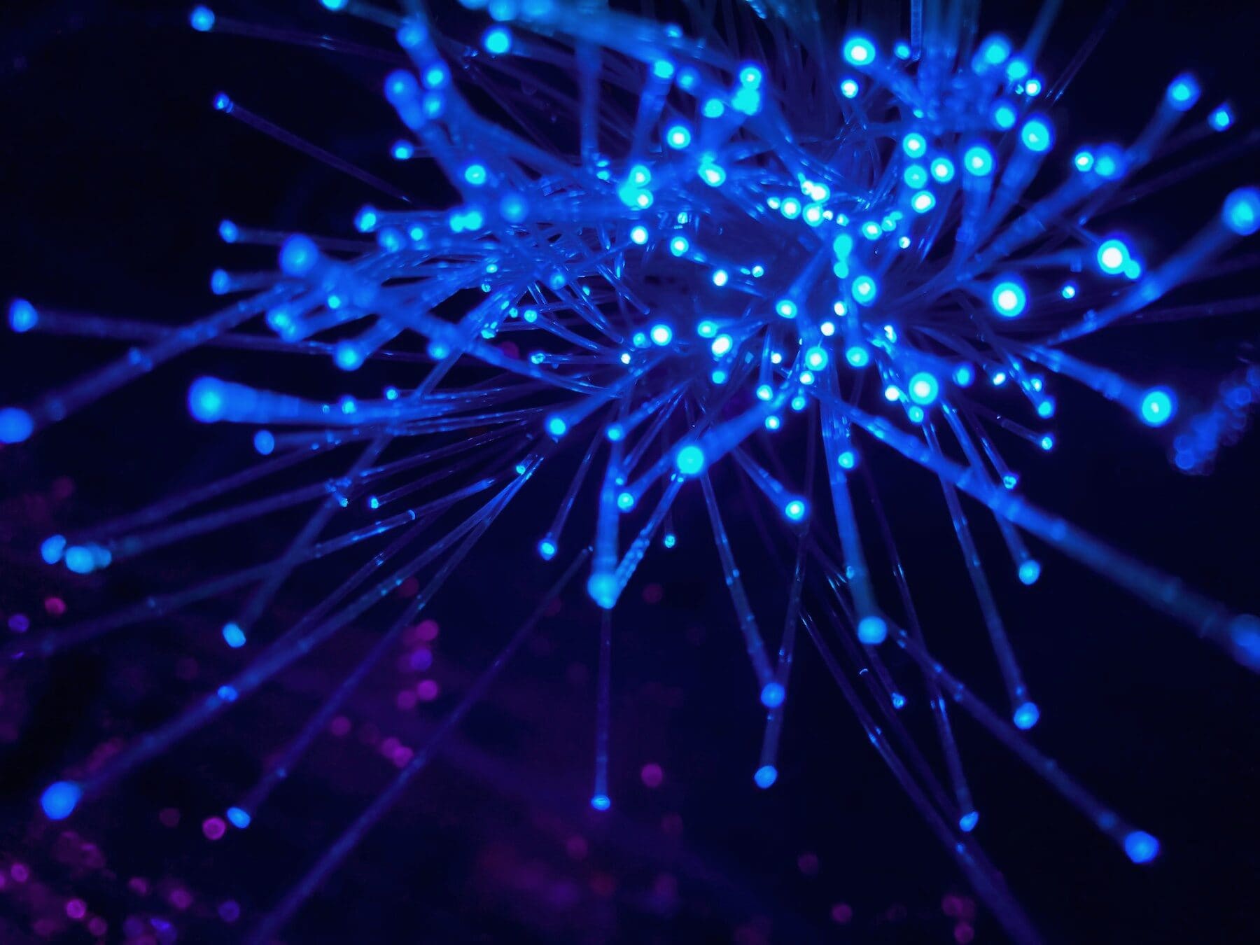 Fibre optic strands glowing blue against black